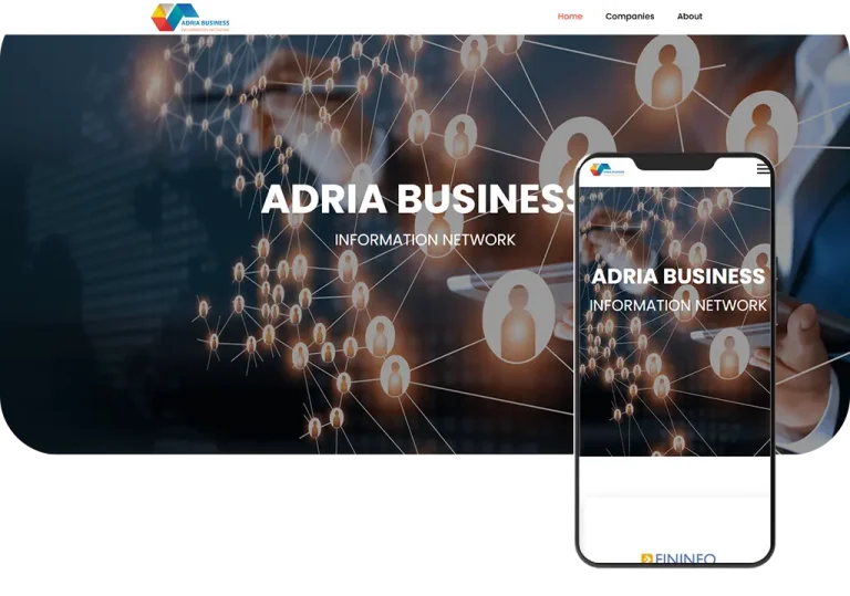 Edvision - Digital Solutions That Transform Your Business - EDVISION Izrada web stranica i softvera po mjeri BiH